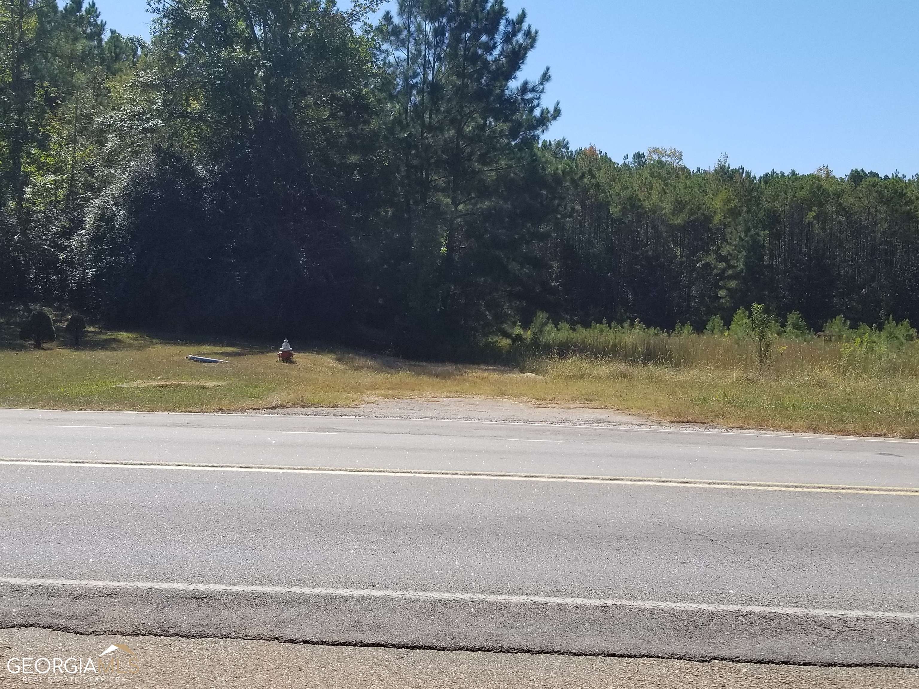 Washington, GA 30673,40? By North PASS