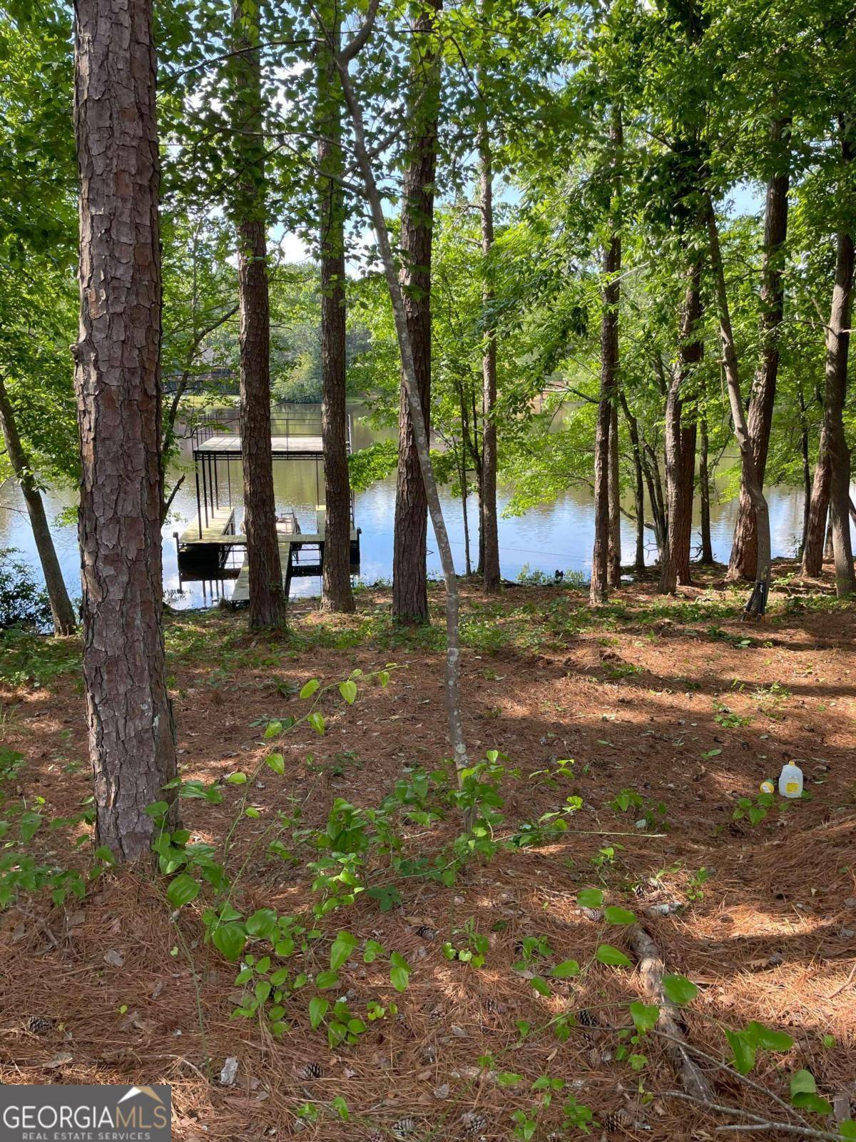 Dawsonville, GA 30534,6730 Anderson Lake RD