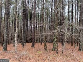 Sparta, GA 31087,0 Briarrose Wynd #LOT15