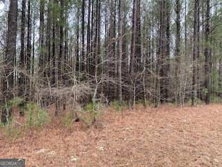 Sparta, GA 31087,0 Briarrose Wynd #LOT15