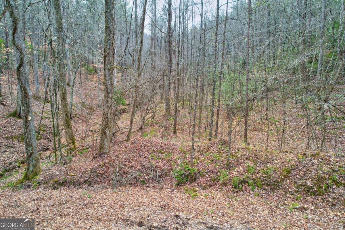 Ellijay, GA 30536,TR 6 Old Bucktown RD