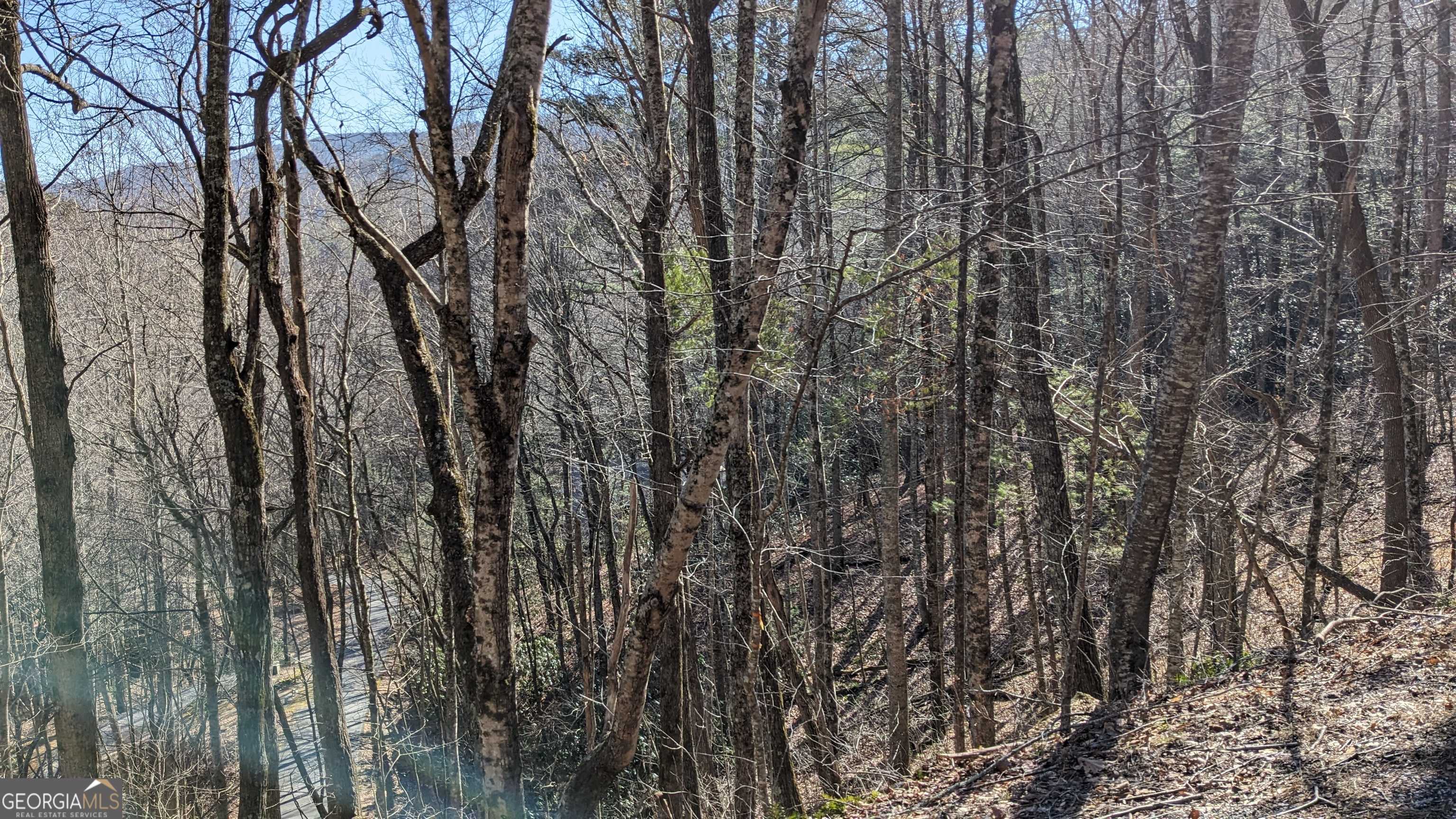 Sky Valley, GA 30537,0 Covered Bridge LN