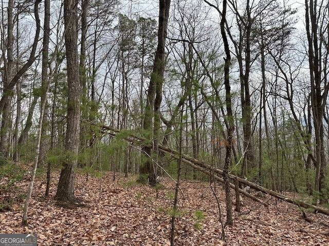 Ellijay, GA 30536,LOT 8 Marjorie AVE