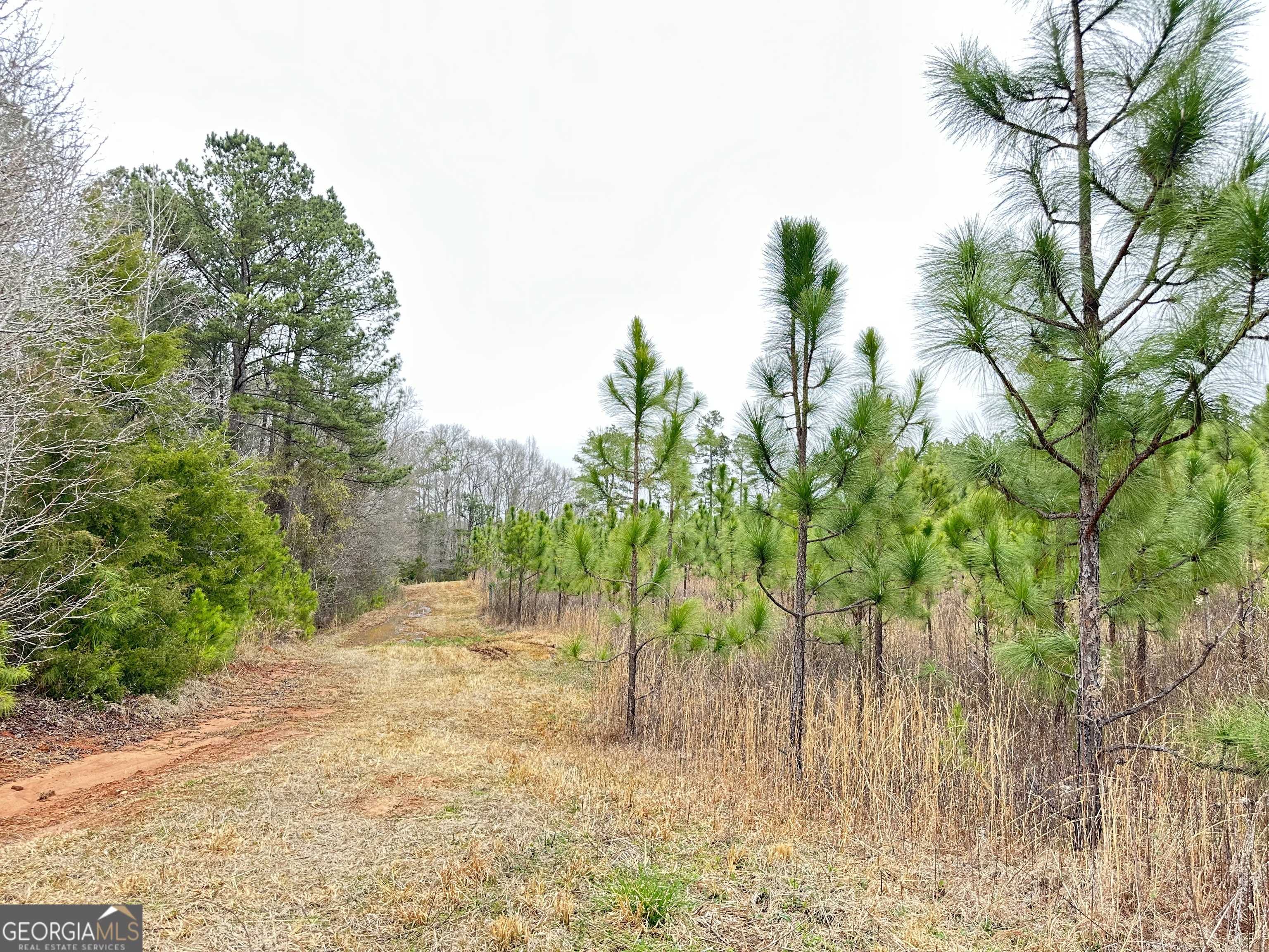 Pine Mountain, GA 31822,0 Oak Grove RD