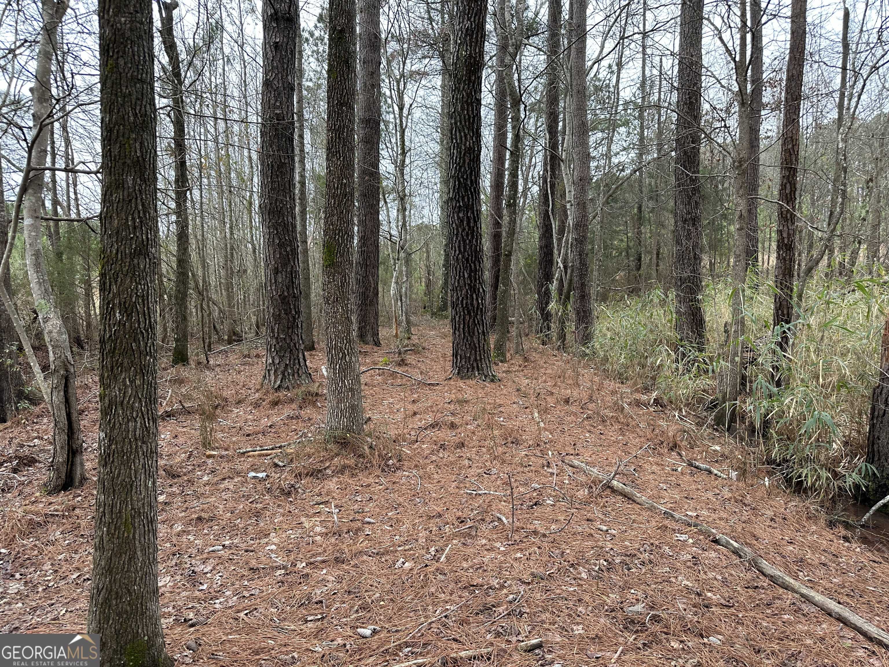 Pine Mountain, GA 31822,0 Oak Grove RD