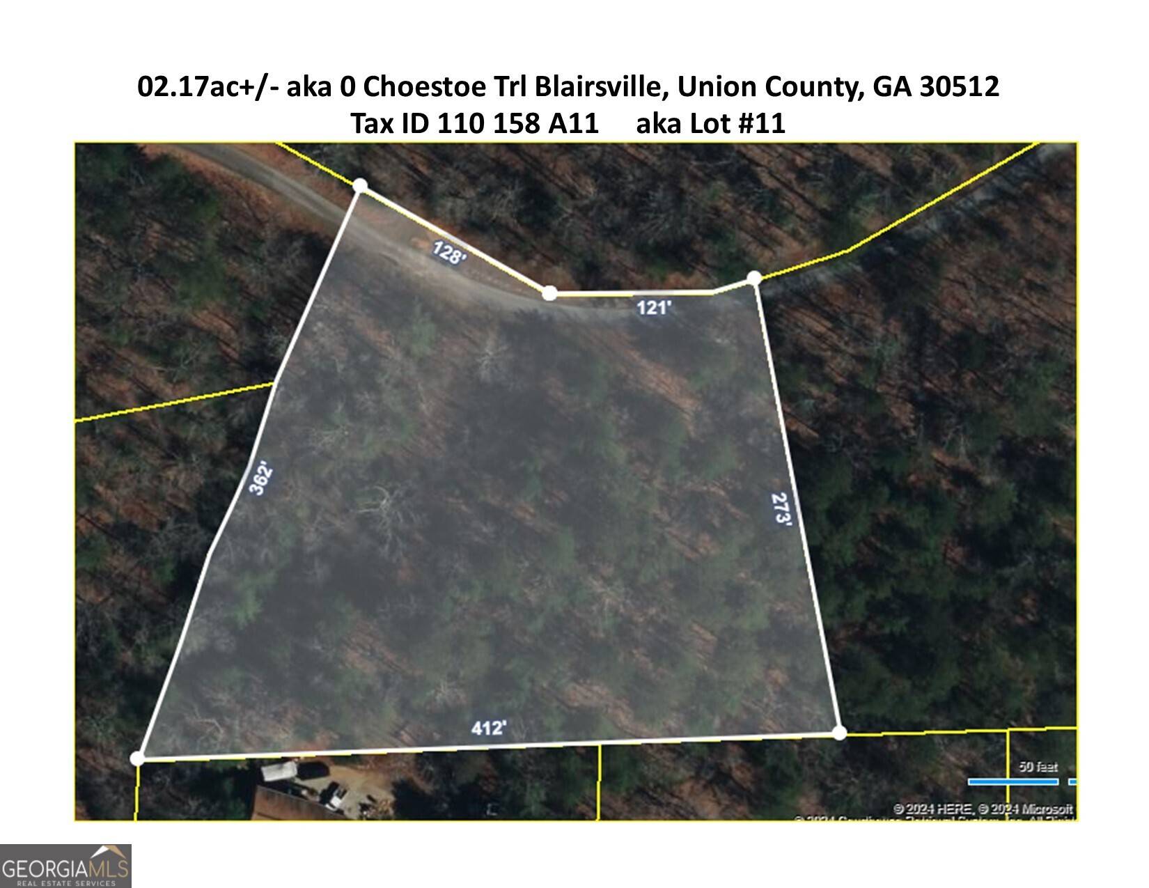 Blairsville, GA 30512,02.17AC LOT 11 Choestoe TRL