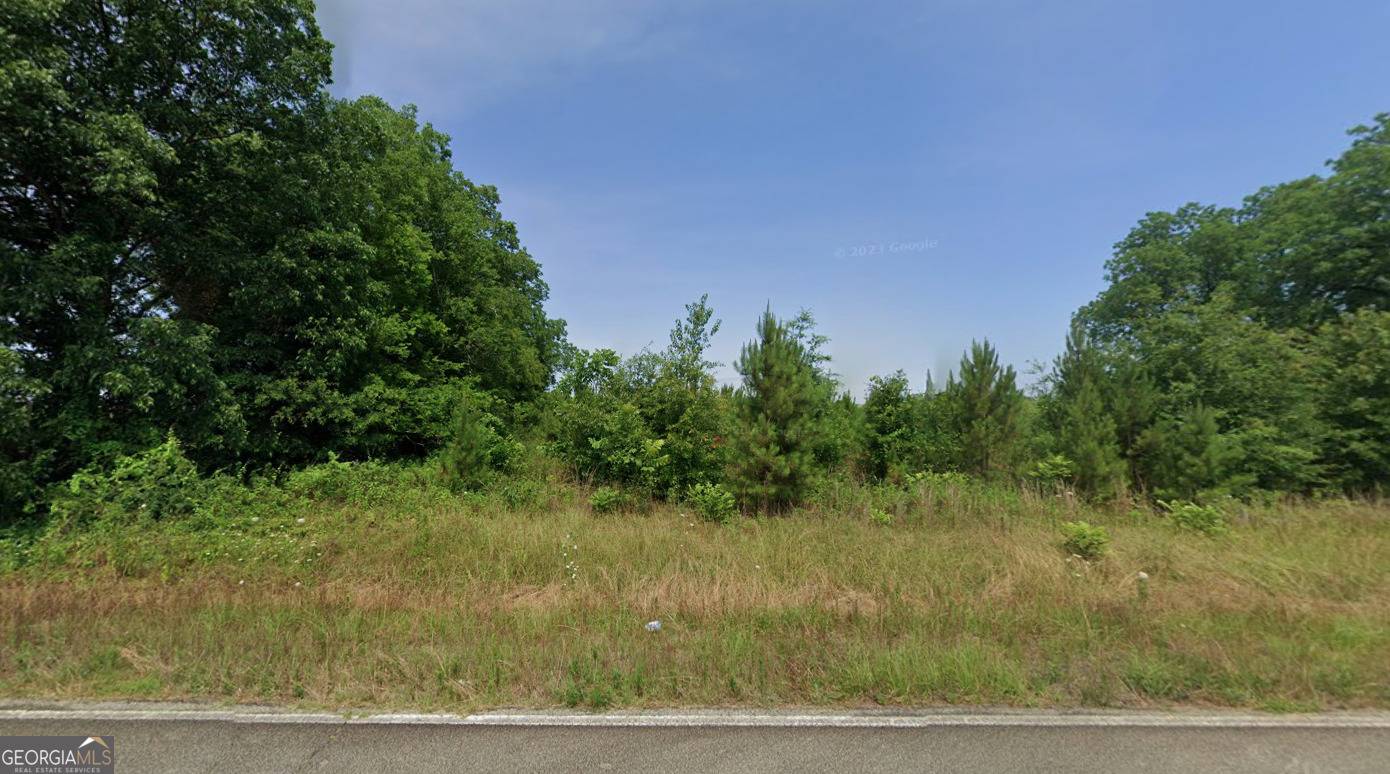 Davisboro, GA 31018,0 Harrison Davisboro RD #LOT 1