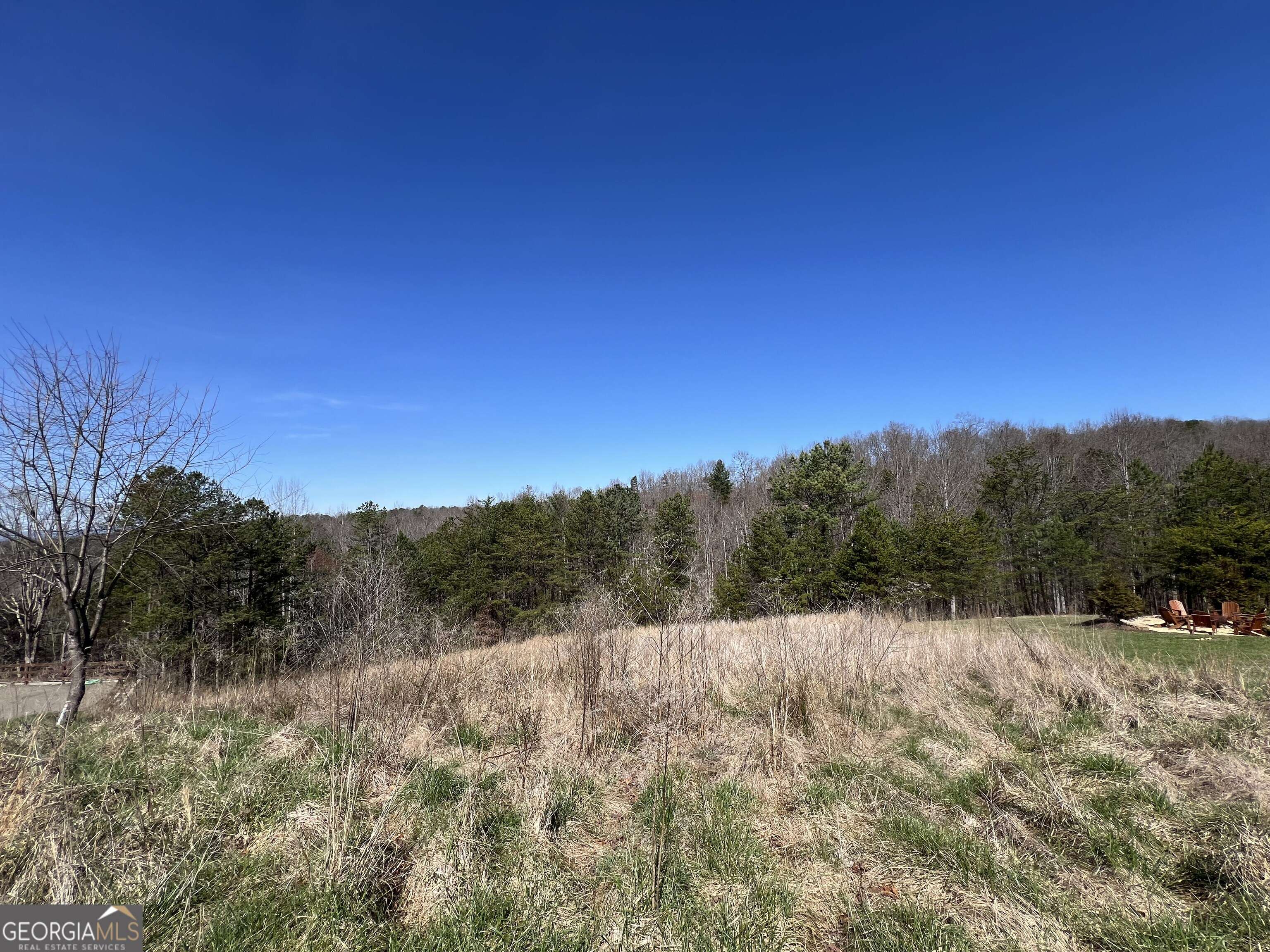 Morganton, GA 30560,LOT 21 High Meadows DR