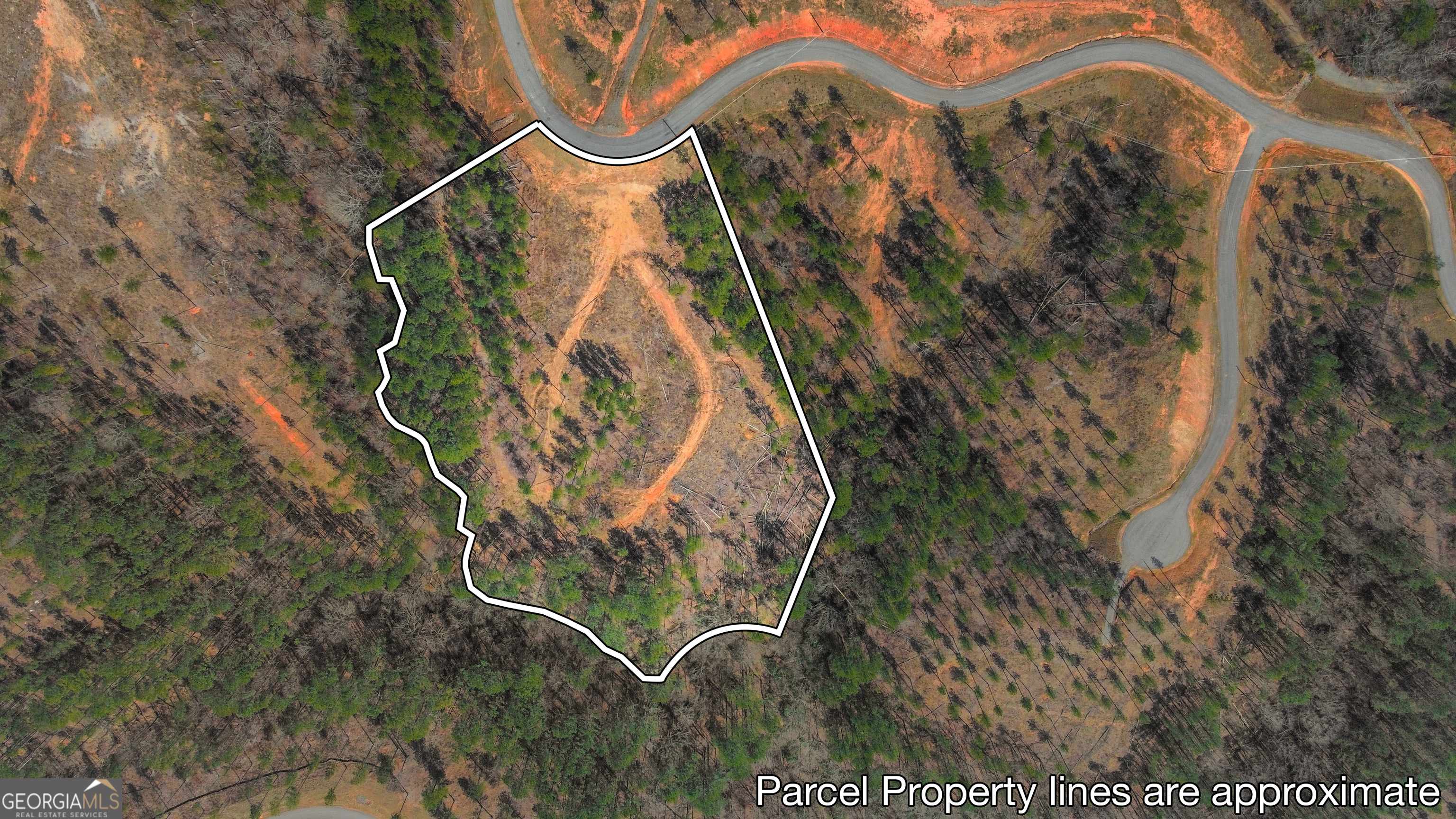 Ellijay, GA 30540,LOT 150R Blalock Mountain Rd