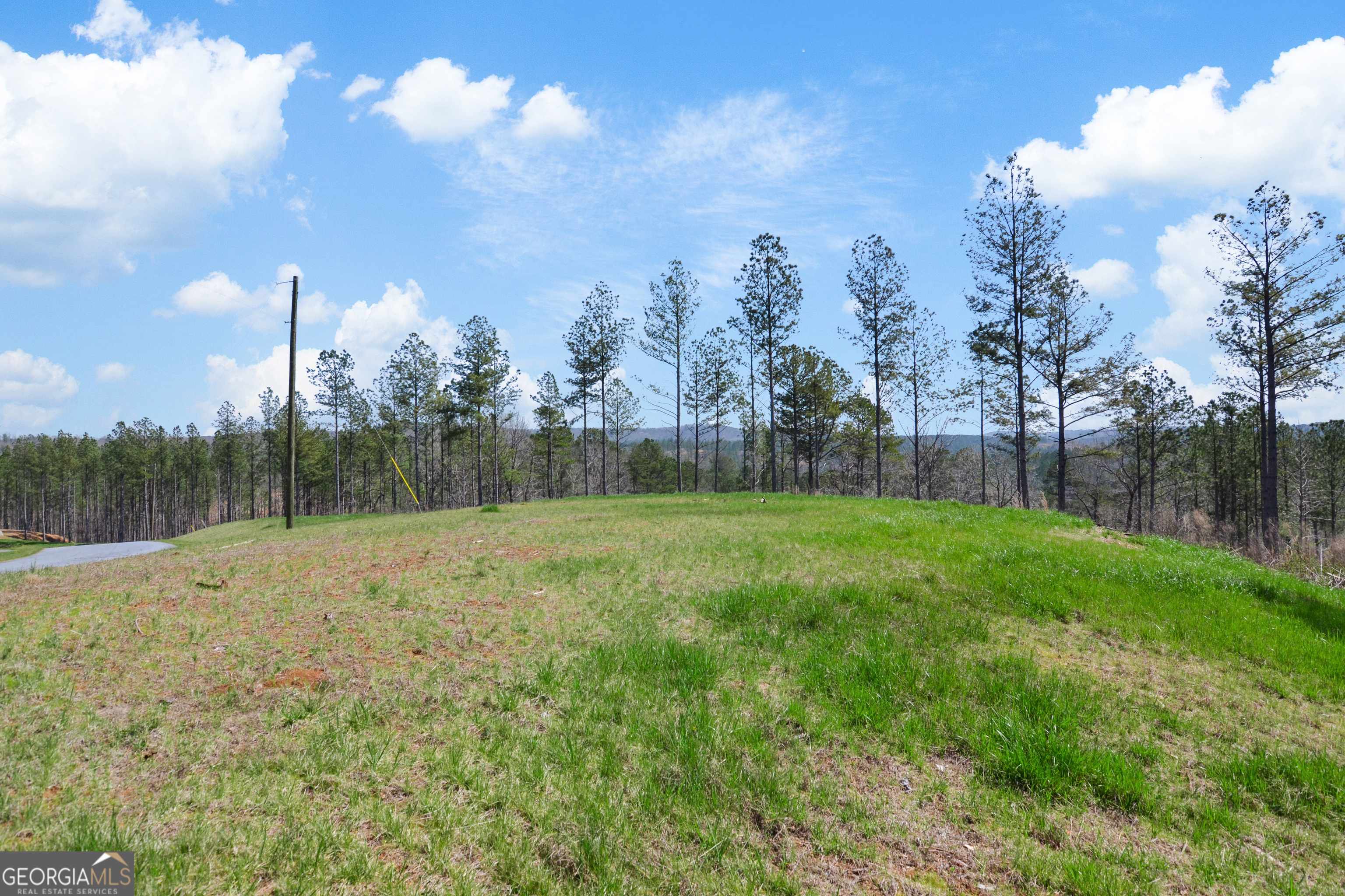 Ellijay, GA 30540,LOT 196 Blalock Mountain Rd