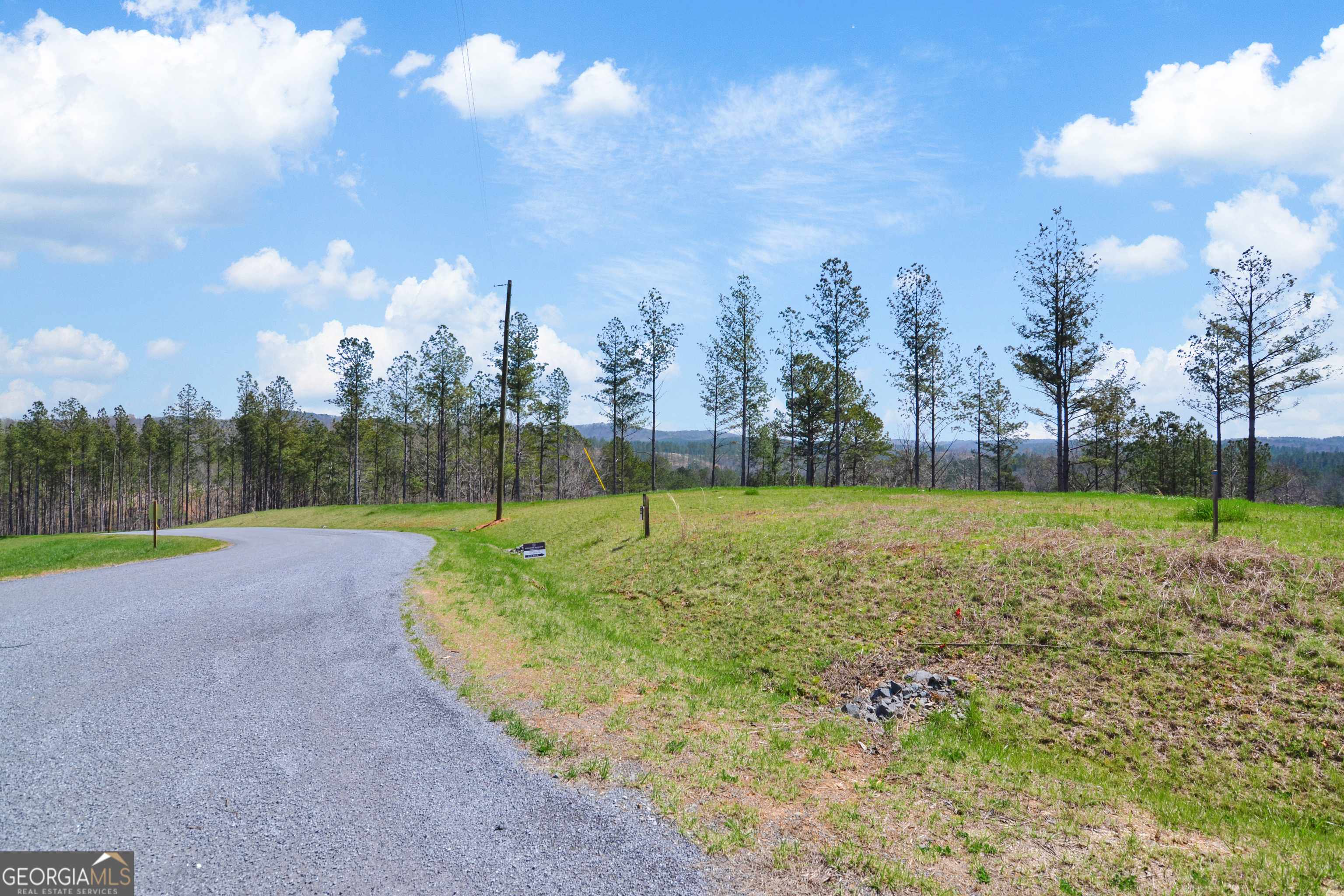 Ellijay, GA 30540,LOT 196 Blalock Mountain Rd