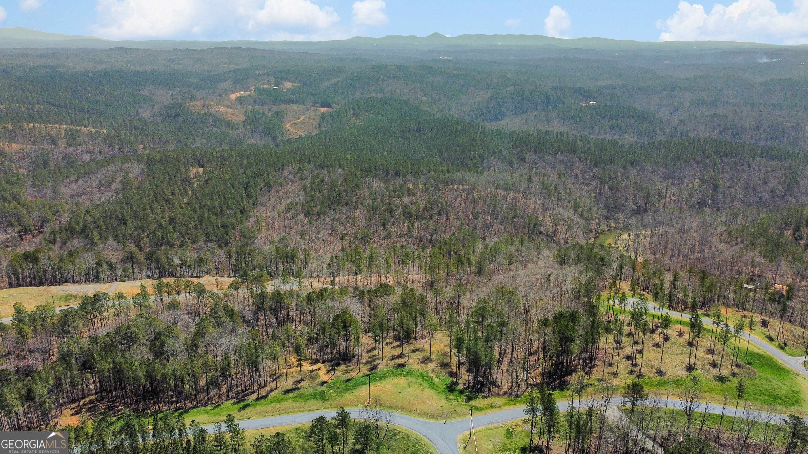 Ellijay, GA 30540,LOT 196 Blalock Mountain Rd