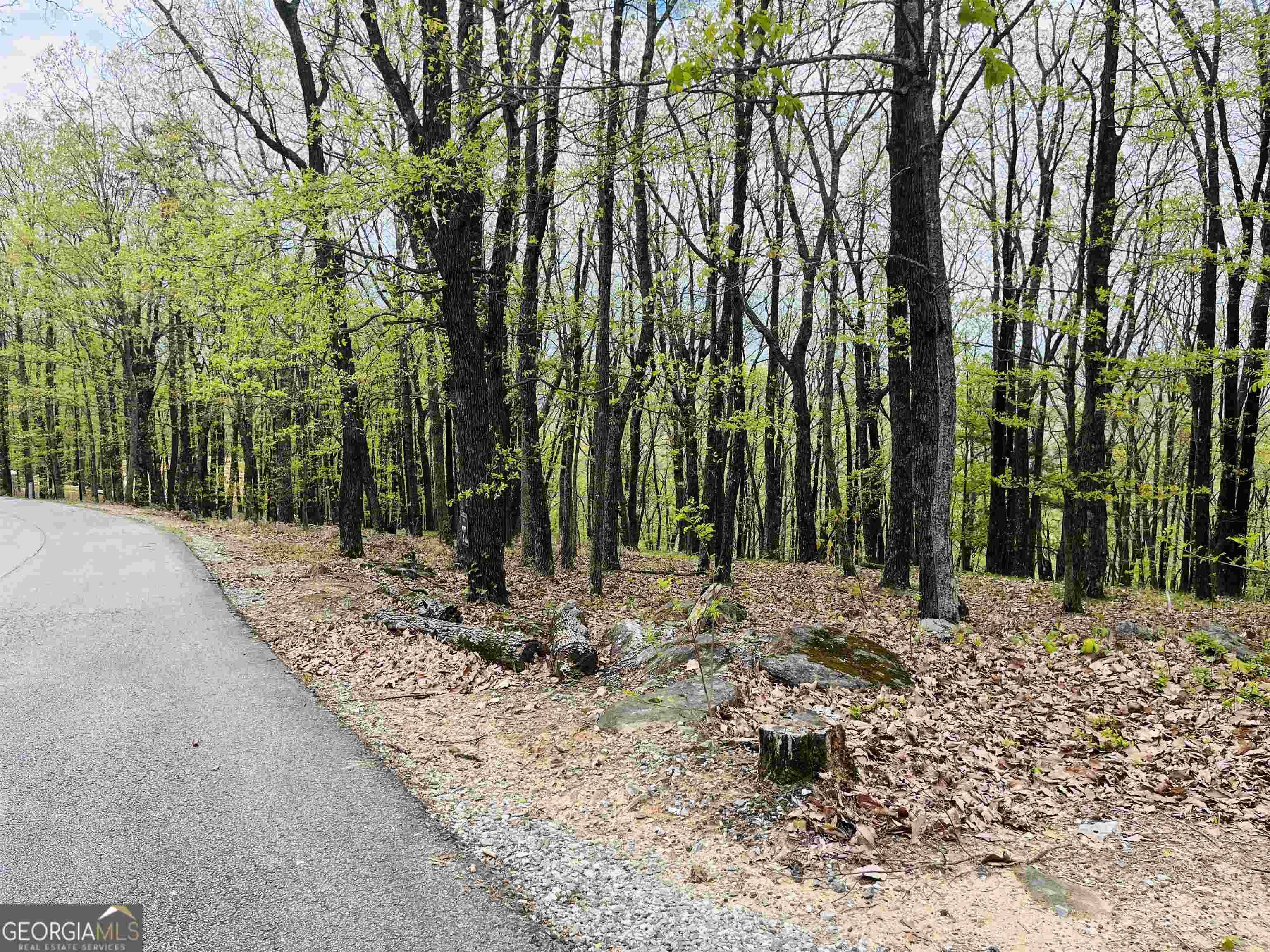 Cleveland, GA 30528,0 Mountainside Drive - Lot 37