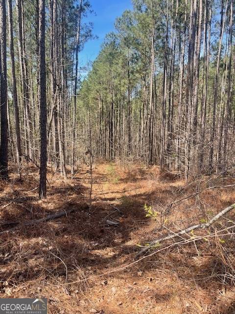 Greensboro, GA 30642,LOT 8 Shiloh Road