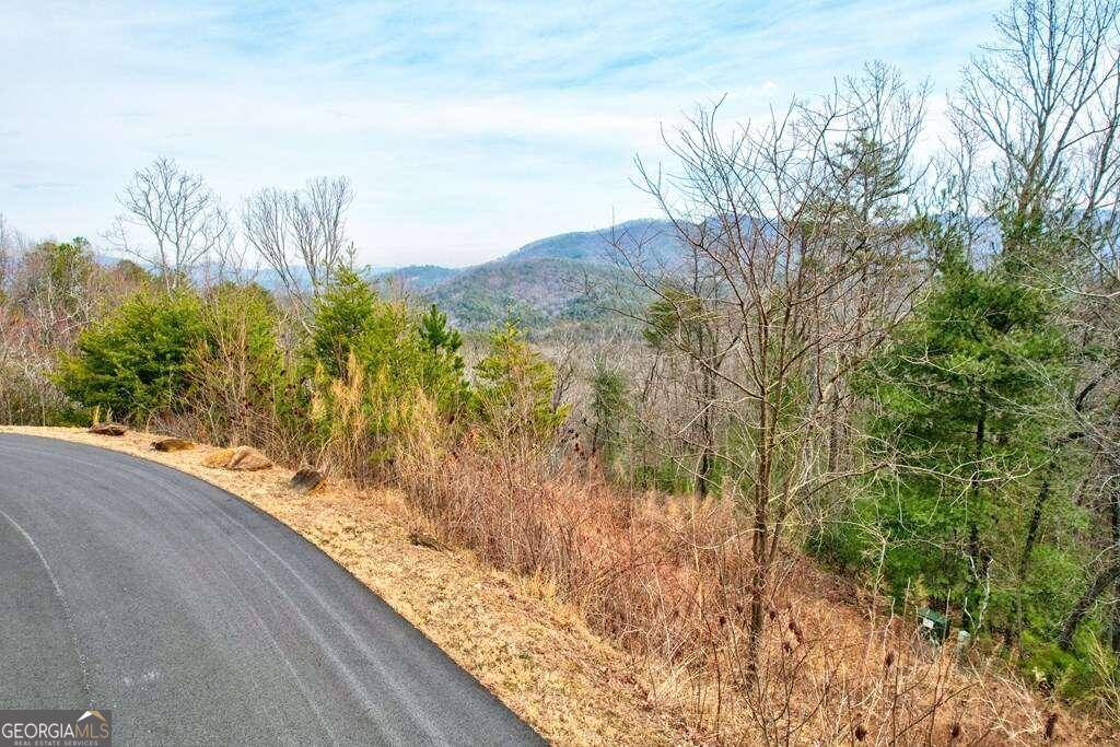 Ellijay, GA 30536,LOT 29 Greystone TRCE