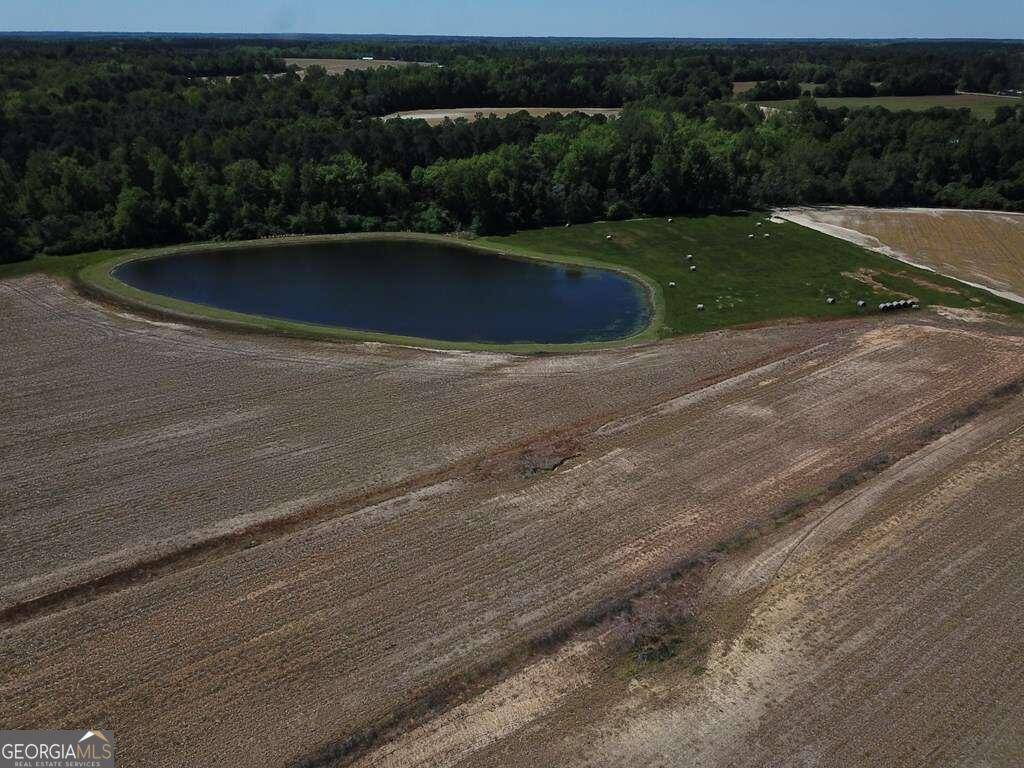 Statesboro, GA 30461,153.97 AC Middleground RD