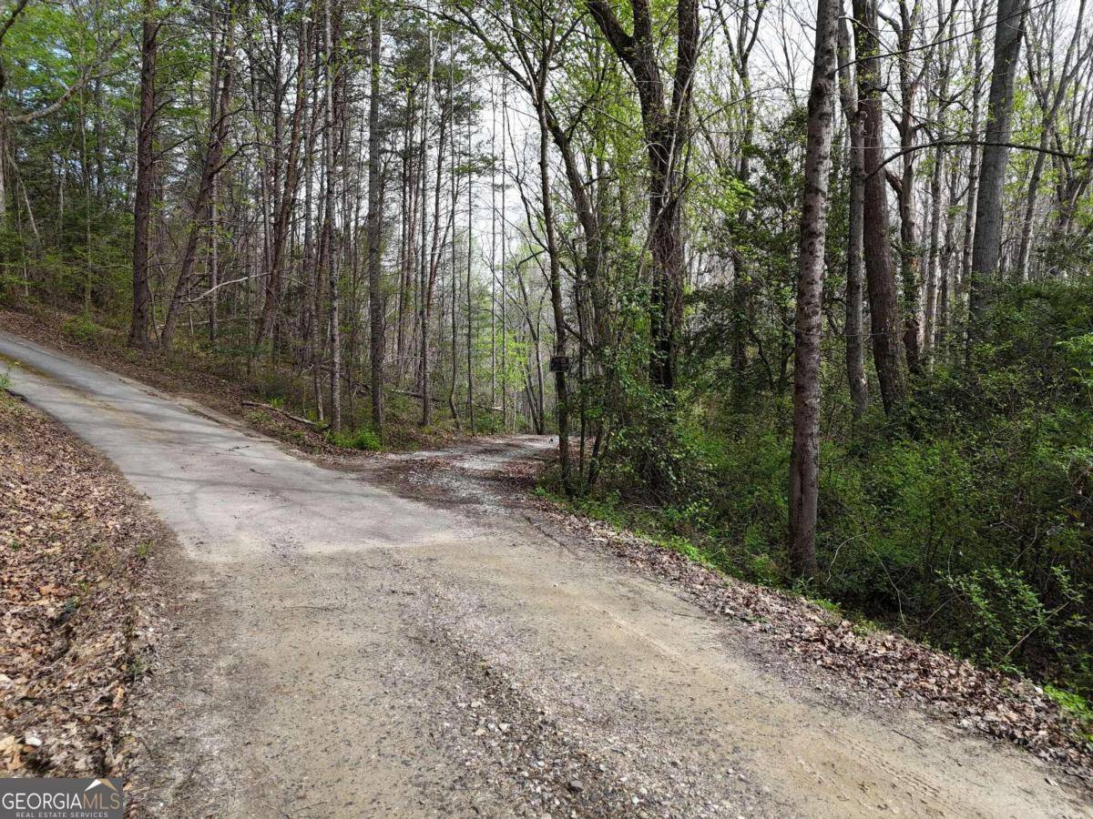 Blairsville, GA 30512,LOT 7 Lower River View RD