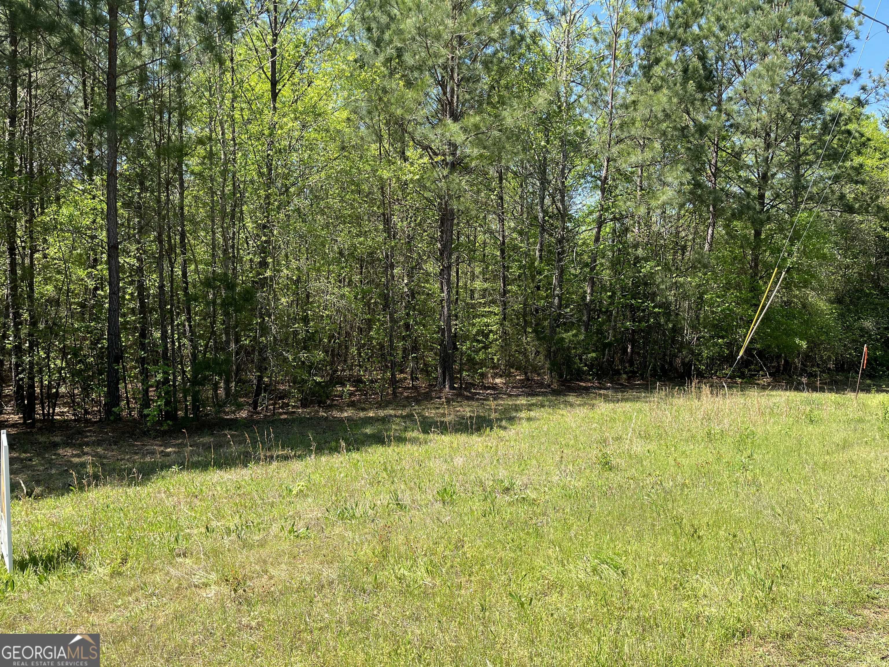 Elberton, GA 30635,LOT 36 Omaha DR