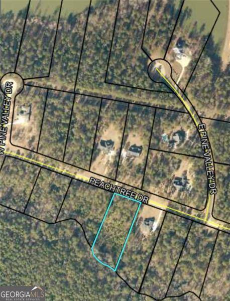 Thomson, GA 30824,1333 TANYARD CREEK