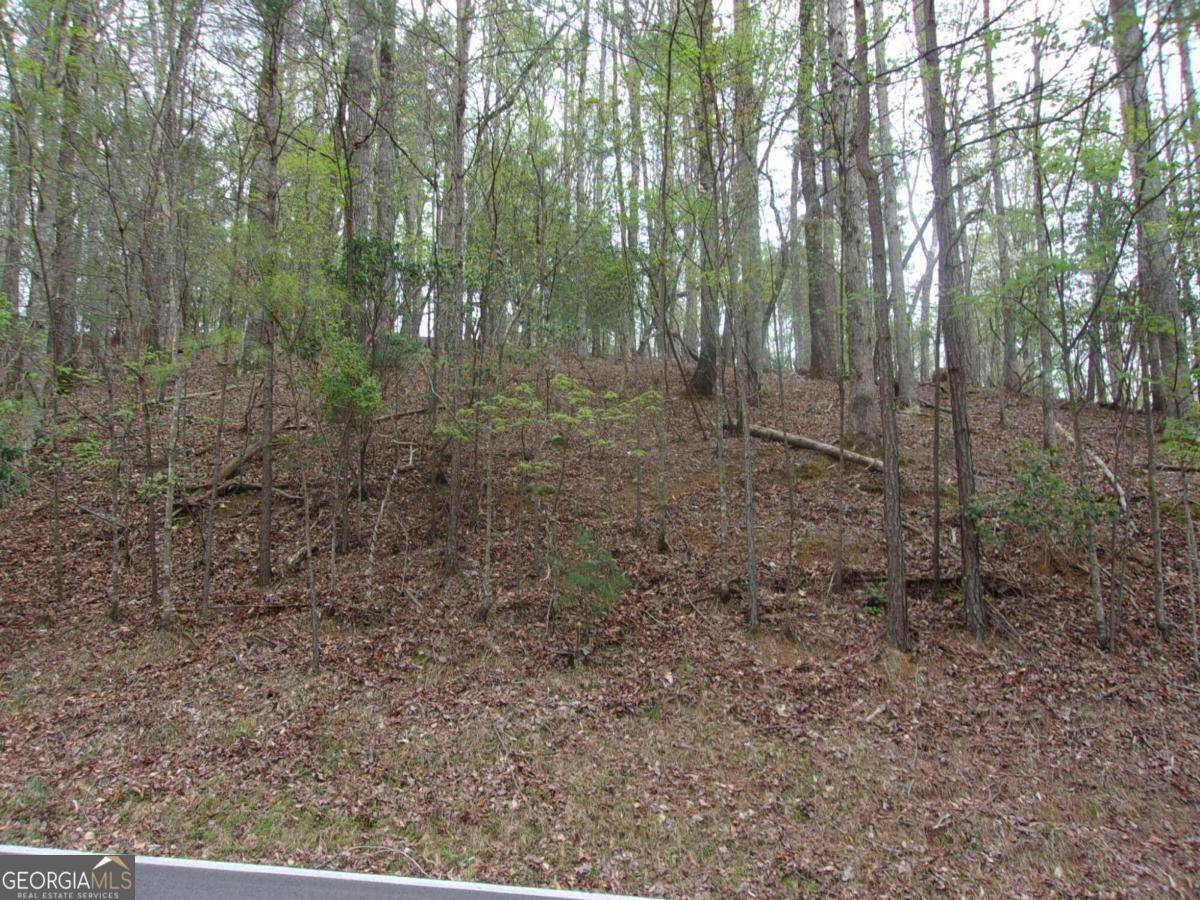 Ellijay, GA 30540,2090R Newport Dr (Lot) #2090R