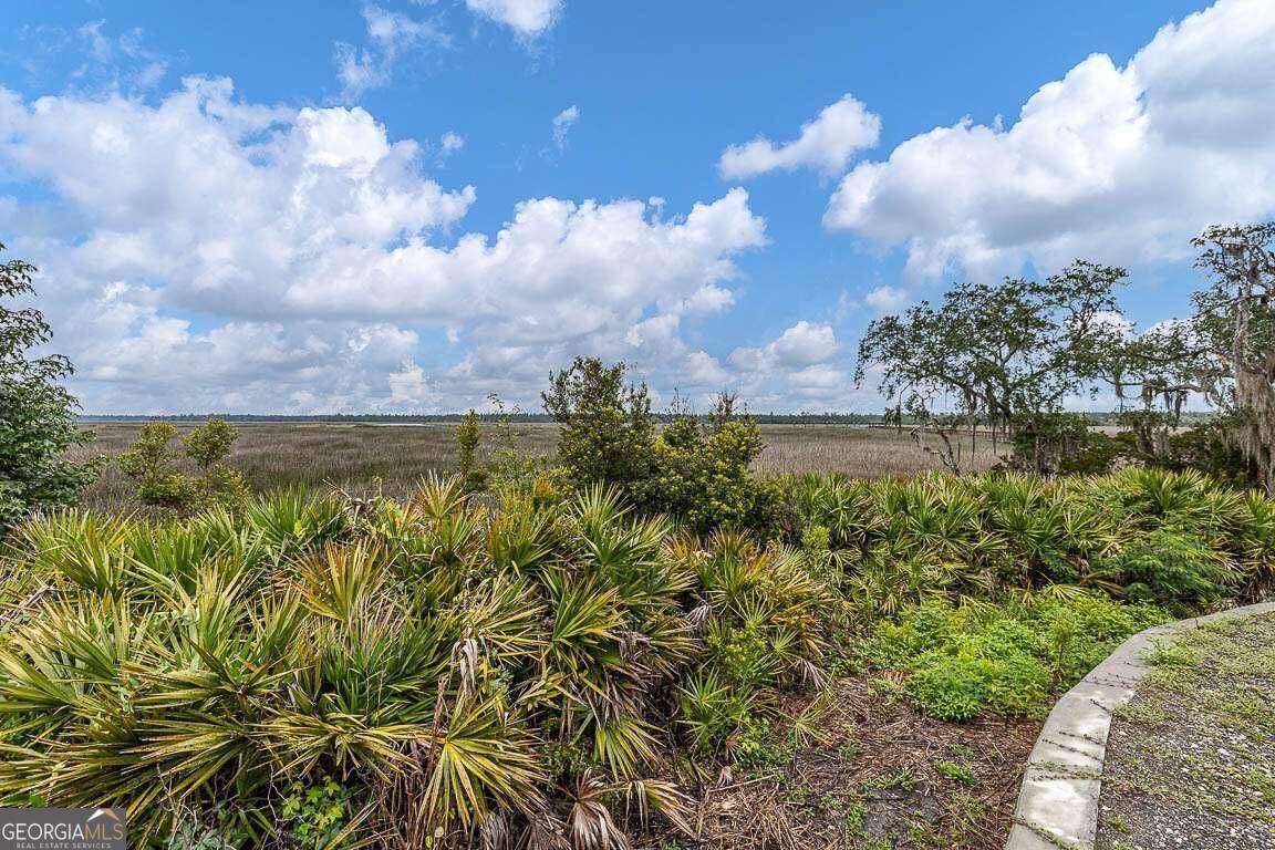 Waverly, GA 31565,LOT 17 Sanderling TRCE