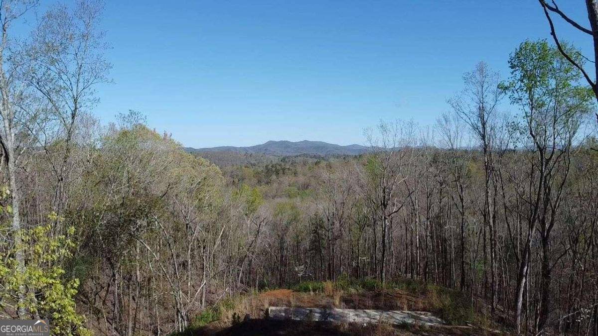 Ellijay, GA 30540,260 Oak Hill DR