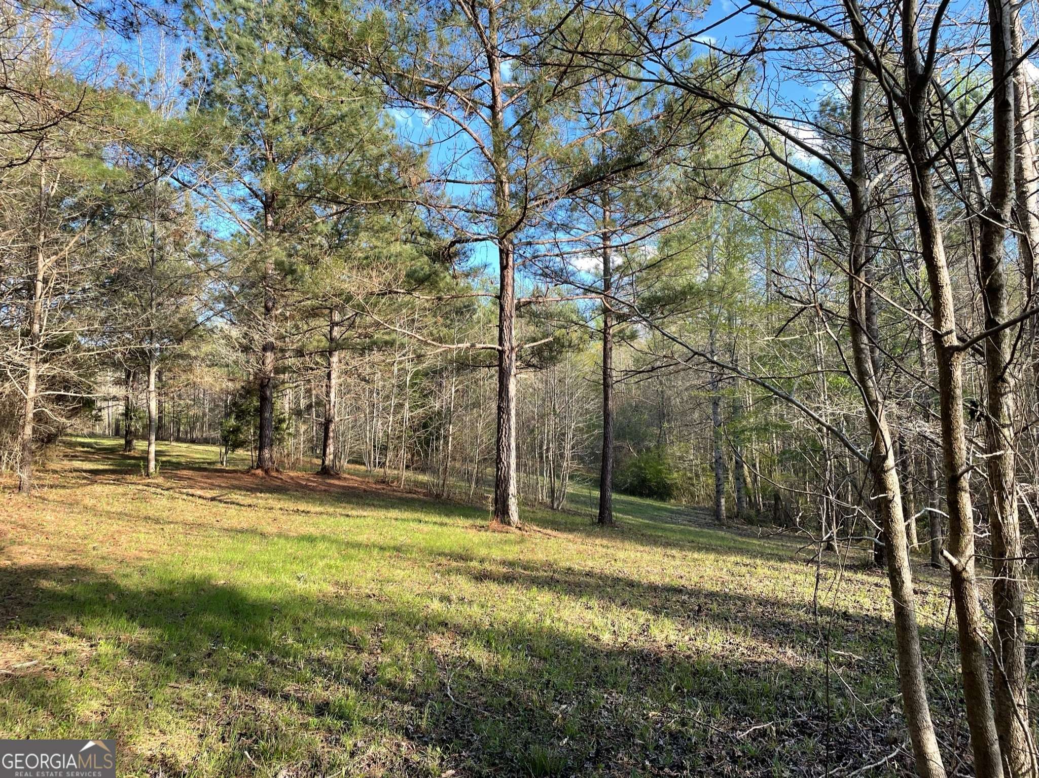 Moreland, GA 30259,2486 Highway 54 #LOT 5