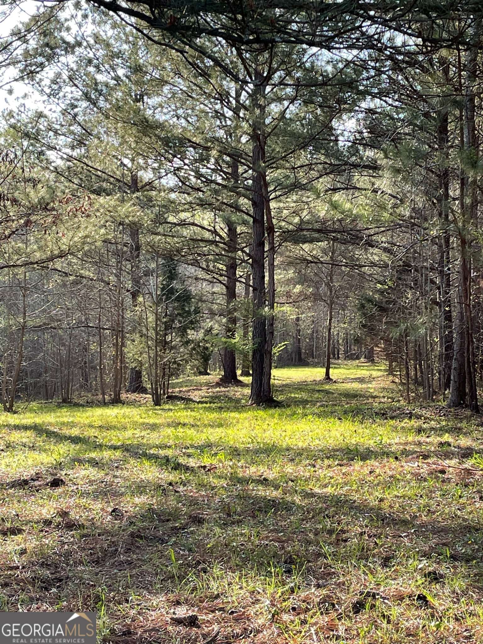 Moreland, GA 30259,2486 Highway 54 #LOT 5