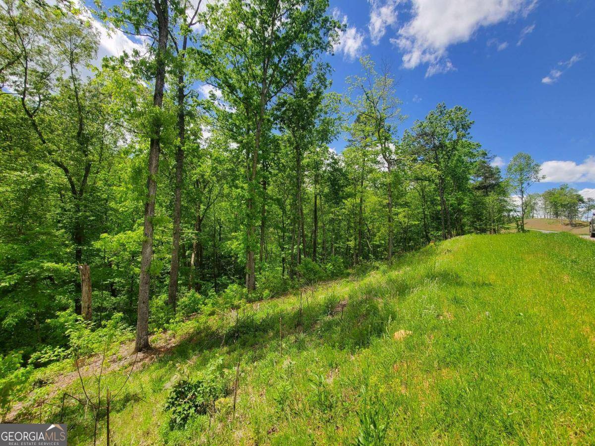 Ellijay, GA 30540,LT 78 Jakes Landing Overlook