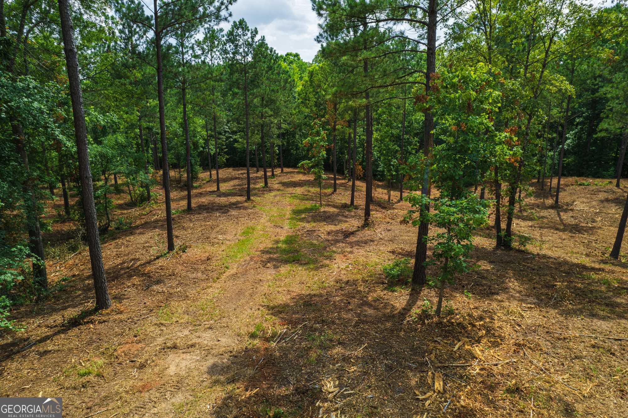 Juliette, GA 31046,0 Christian Road #LOT 2