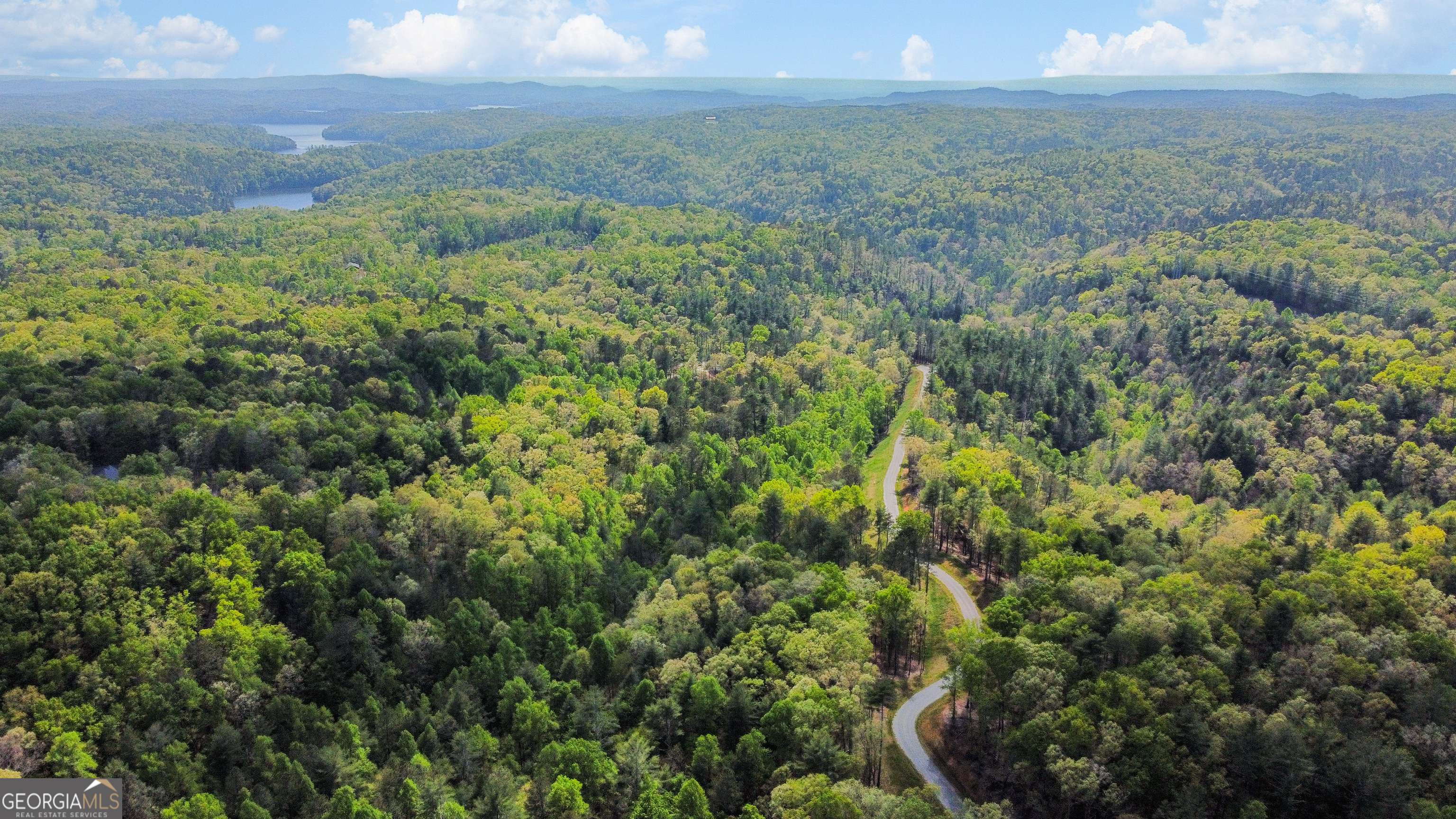 Ellijay, GA 30540,0 Tails Creek Overlook