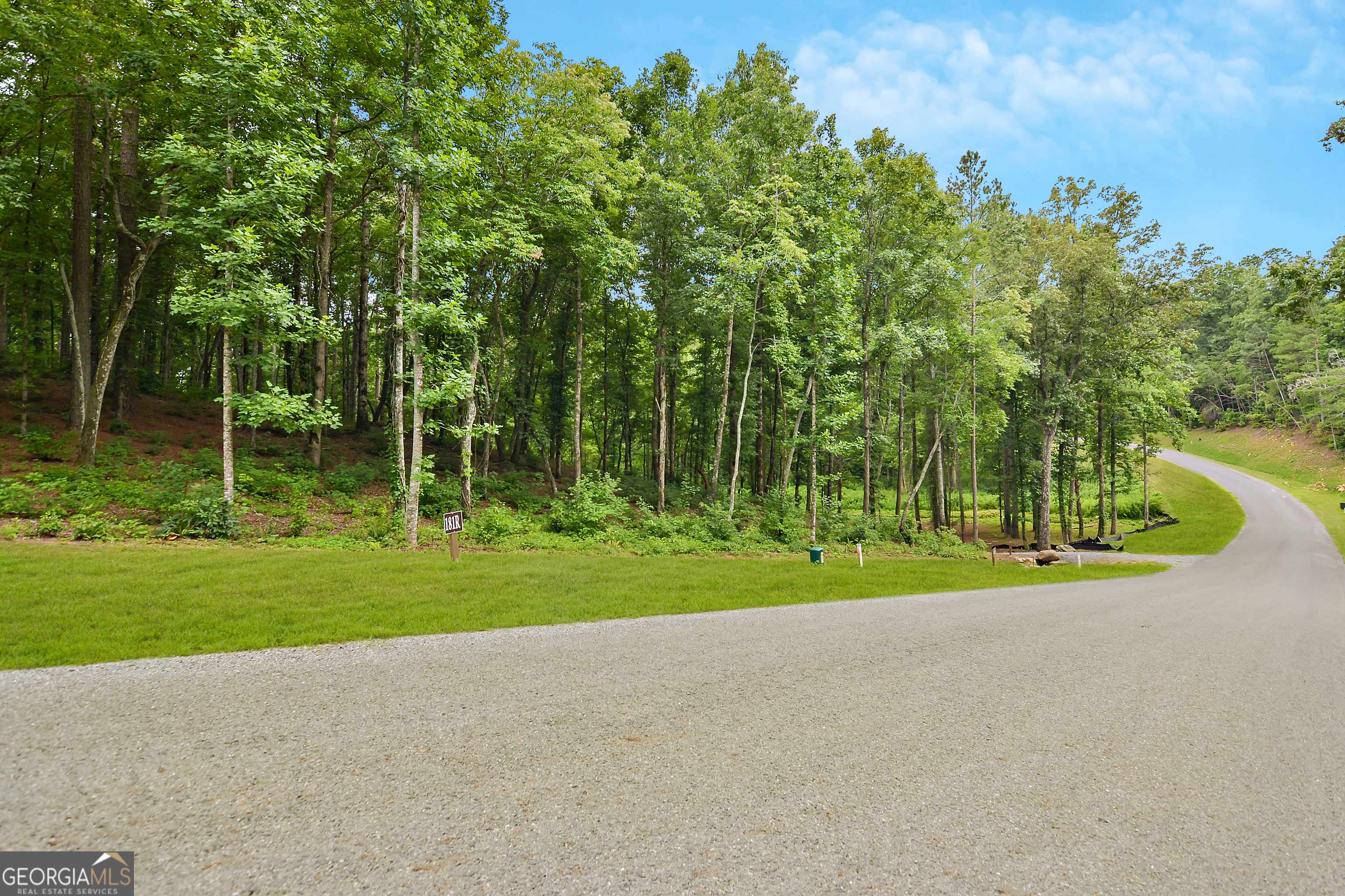 Ellijay, GA 30540,LOT 182R Pinnacle Dr