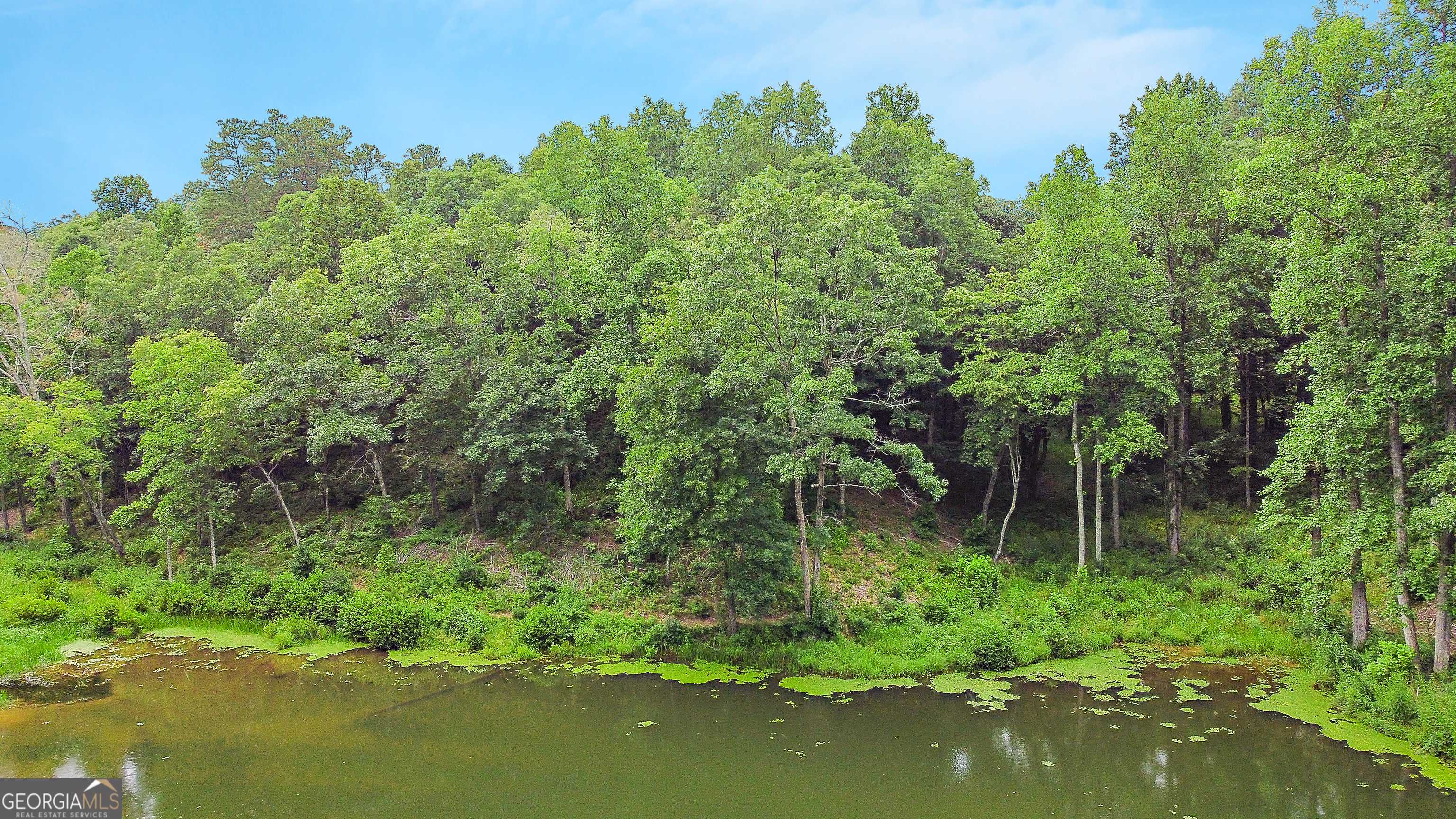 Ellijay, GA 30540,LOT 182R Pinnacle Dr