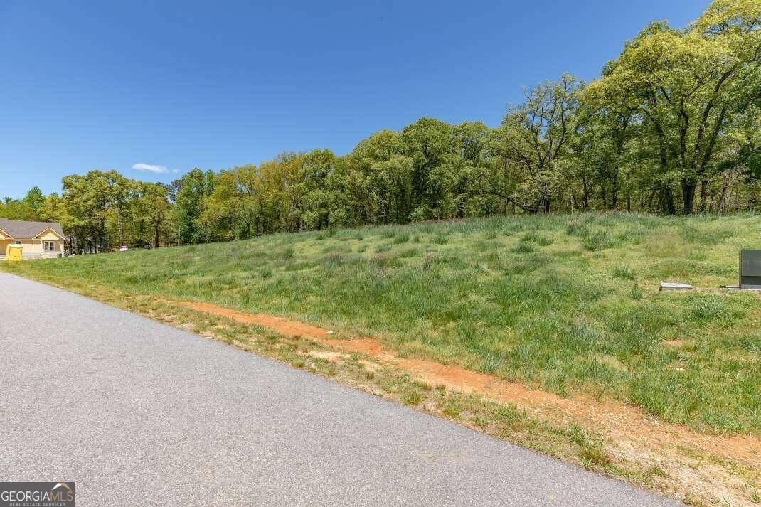 Blairsville, GA 30512,LOT 26 The Farm @ Highland