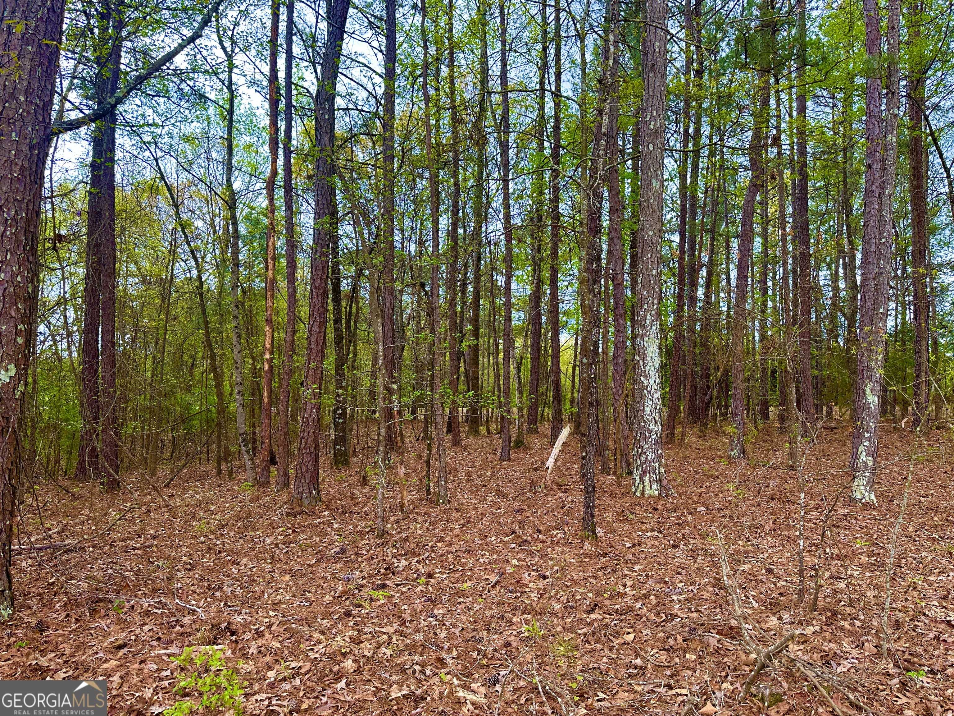 Woodbury, GA 30293,0 Cove RD #3.7 ACRES