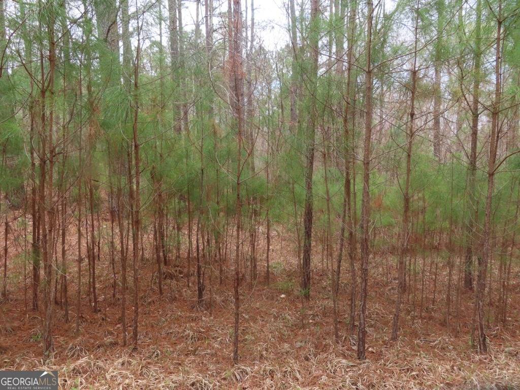 White Plains, GA 30678,LOT 82 Briarrose Wynd