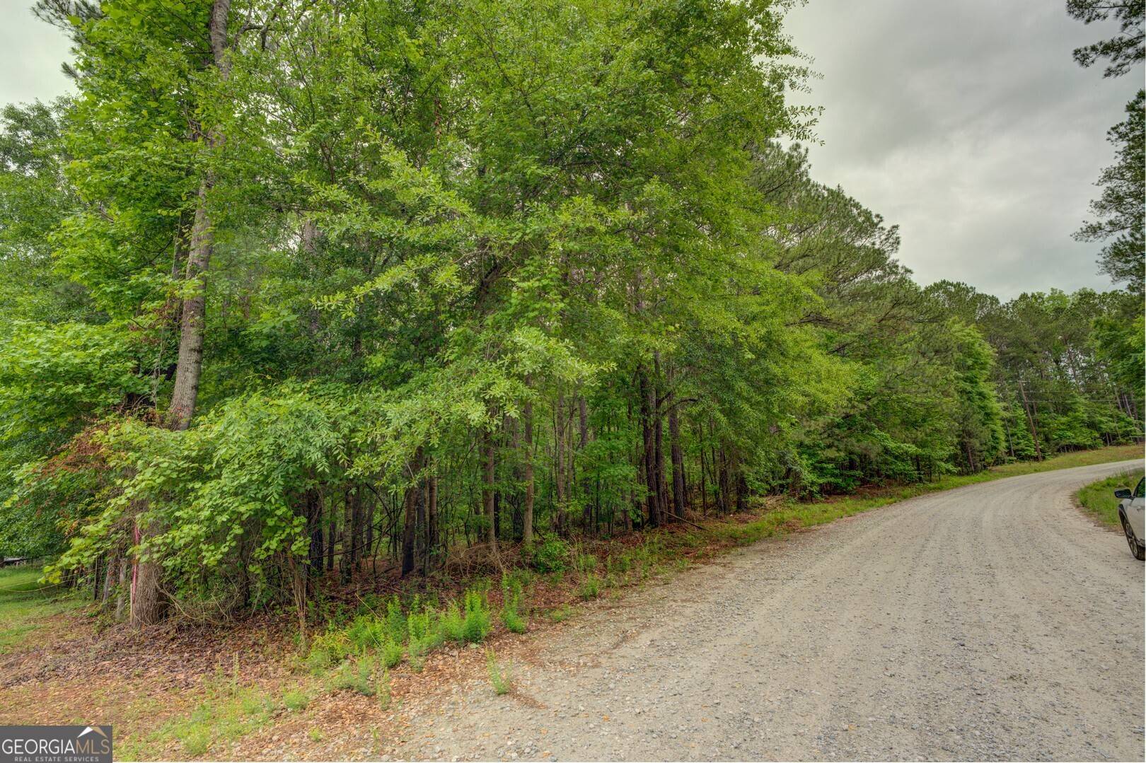 Shady Dale, GA 31085,0 Jeffries Road Tract A 32.55