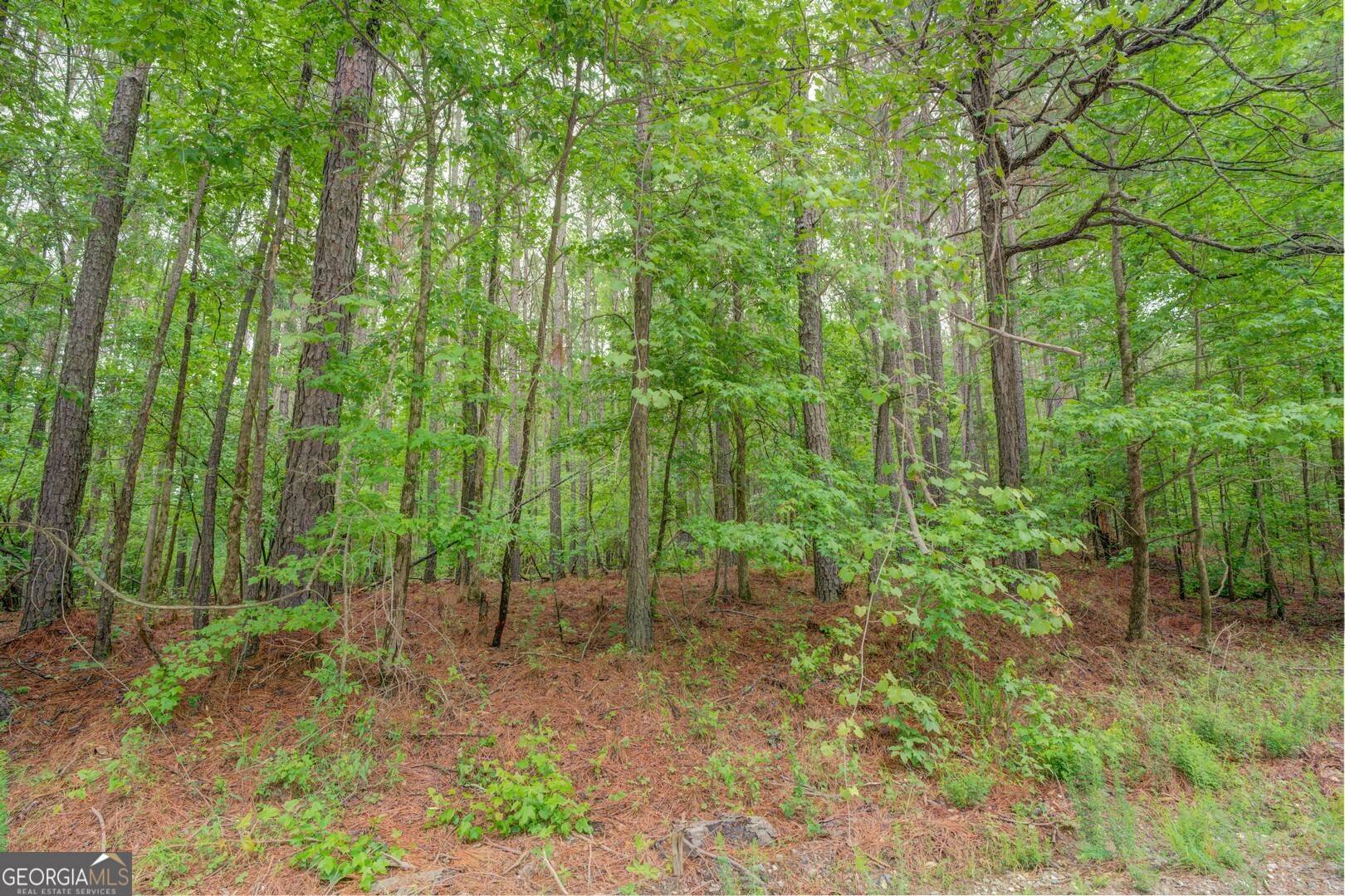 Shady Dale, GA 31085,00 Jeffries Road Tract B 33.11