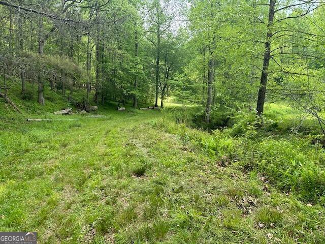 Ellijay, GA 30536,LOT 9 Clear Creek Preserve WAY