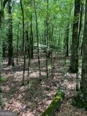 Washington, GA 30673,000 Bellewood DR #LOT B