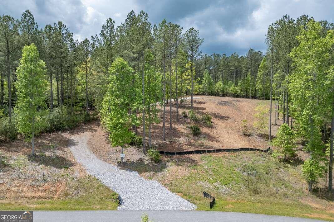 Blairsville, GA 30512,LOT 131 Sandy Lake LN