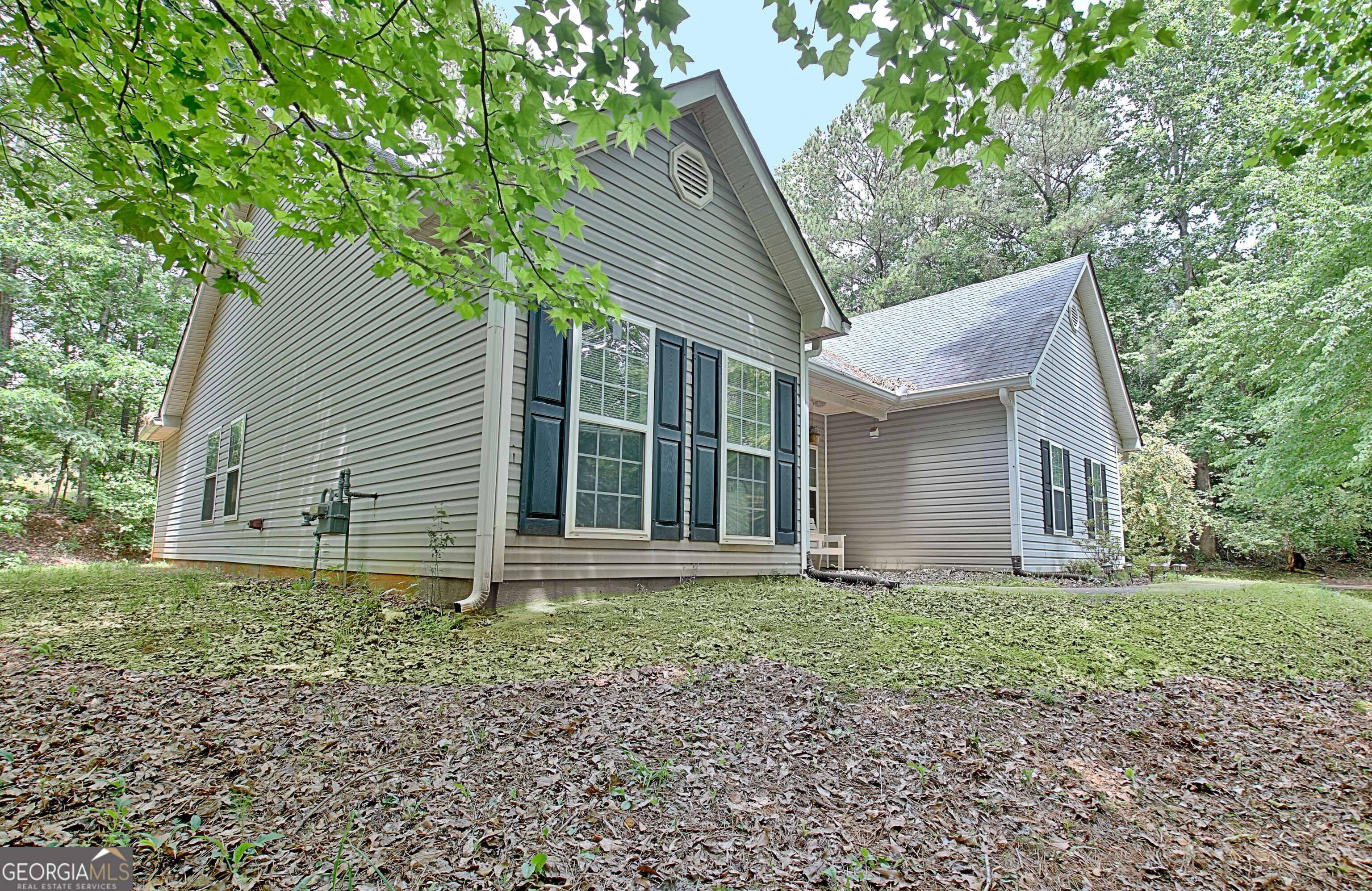 Palmetto, GA 30268,53 Shadow CT