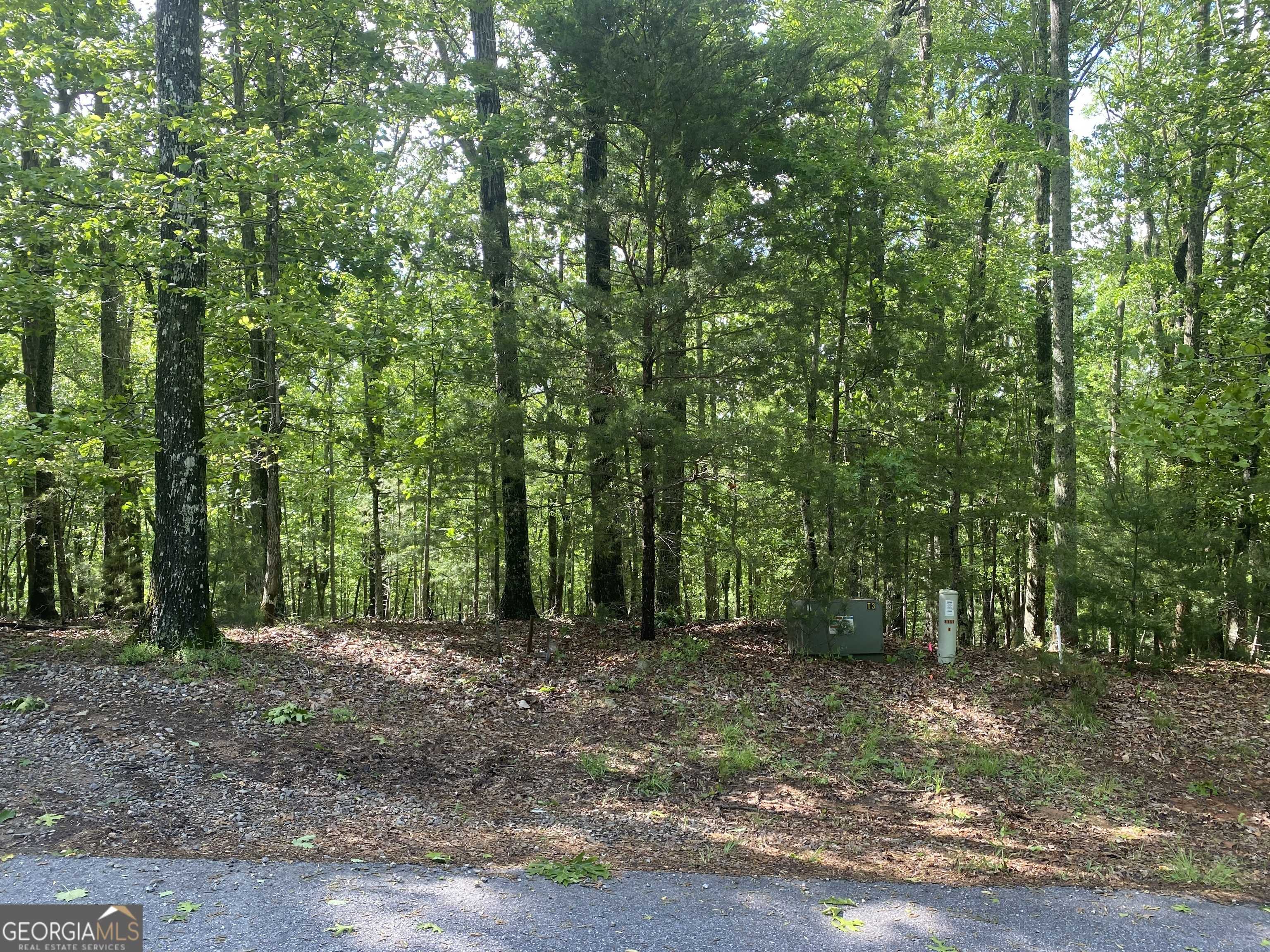 Blairsville, GA 30512,LOT 5 Mount Pleasant Ridge Road