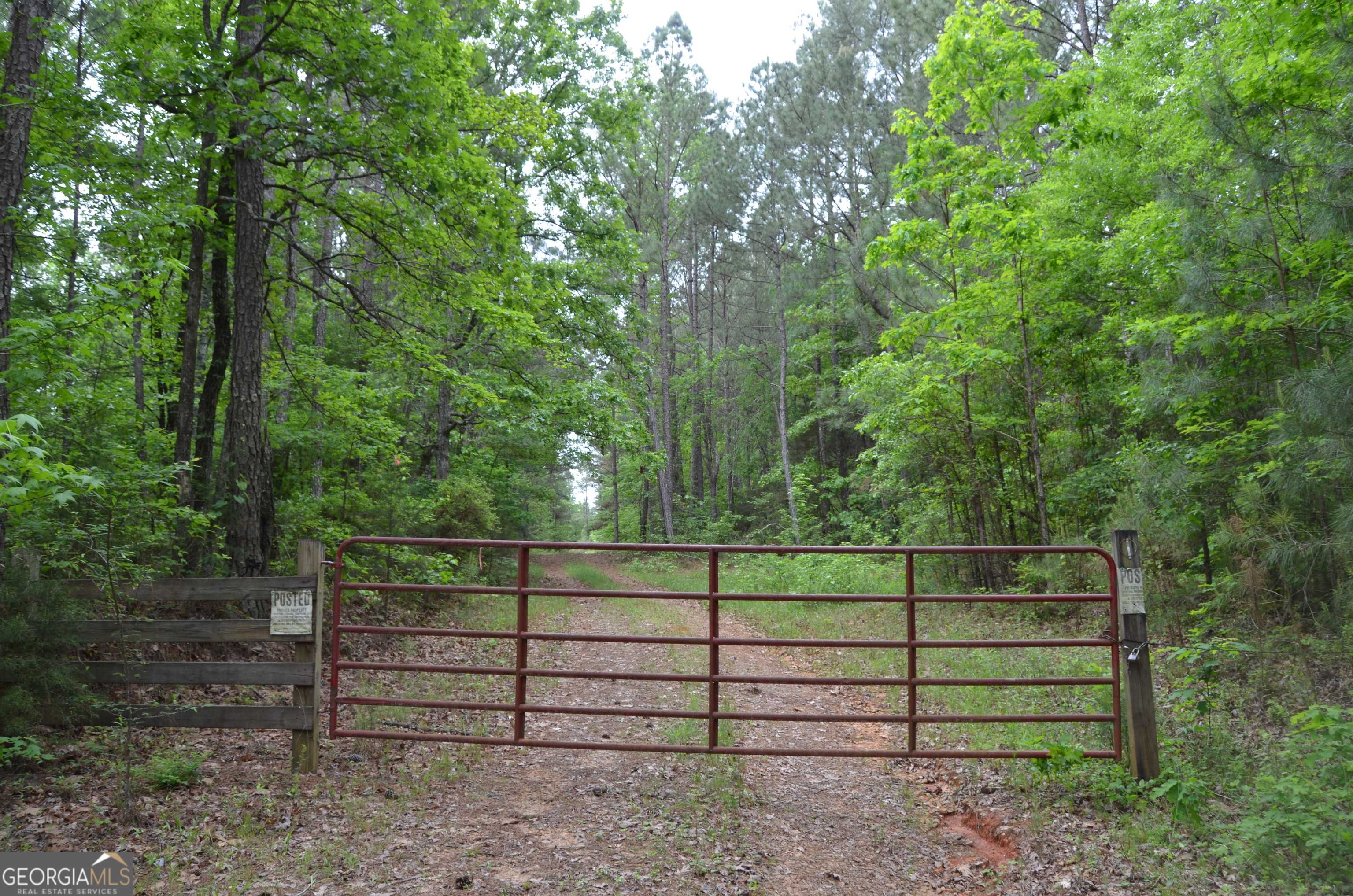 Washington, GA 30673,0 Saggus RD