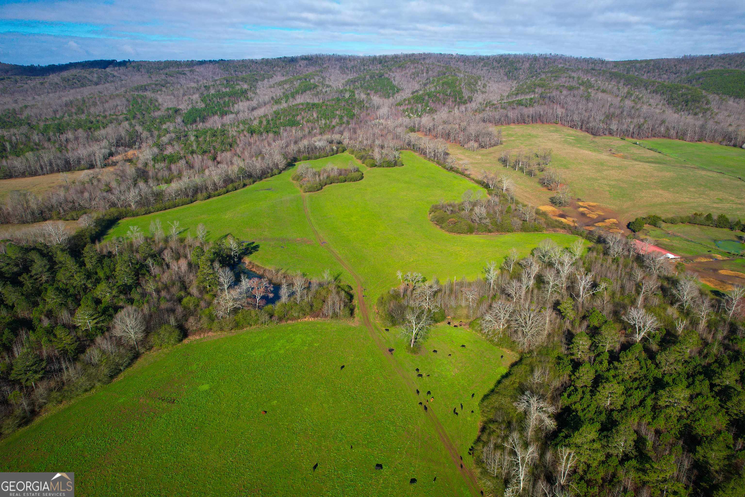 Armuchee, GA 30105,239 +/- Acres on Floyd Springs Road