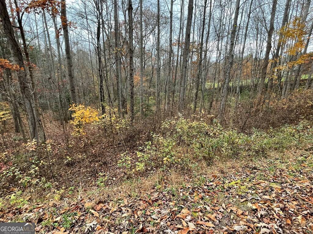 Blairsville, GA 30512,LOT 20 Hamilton Road