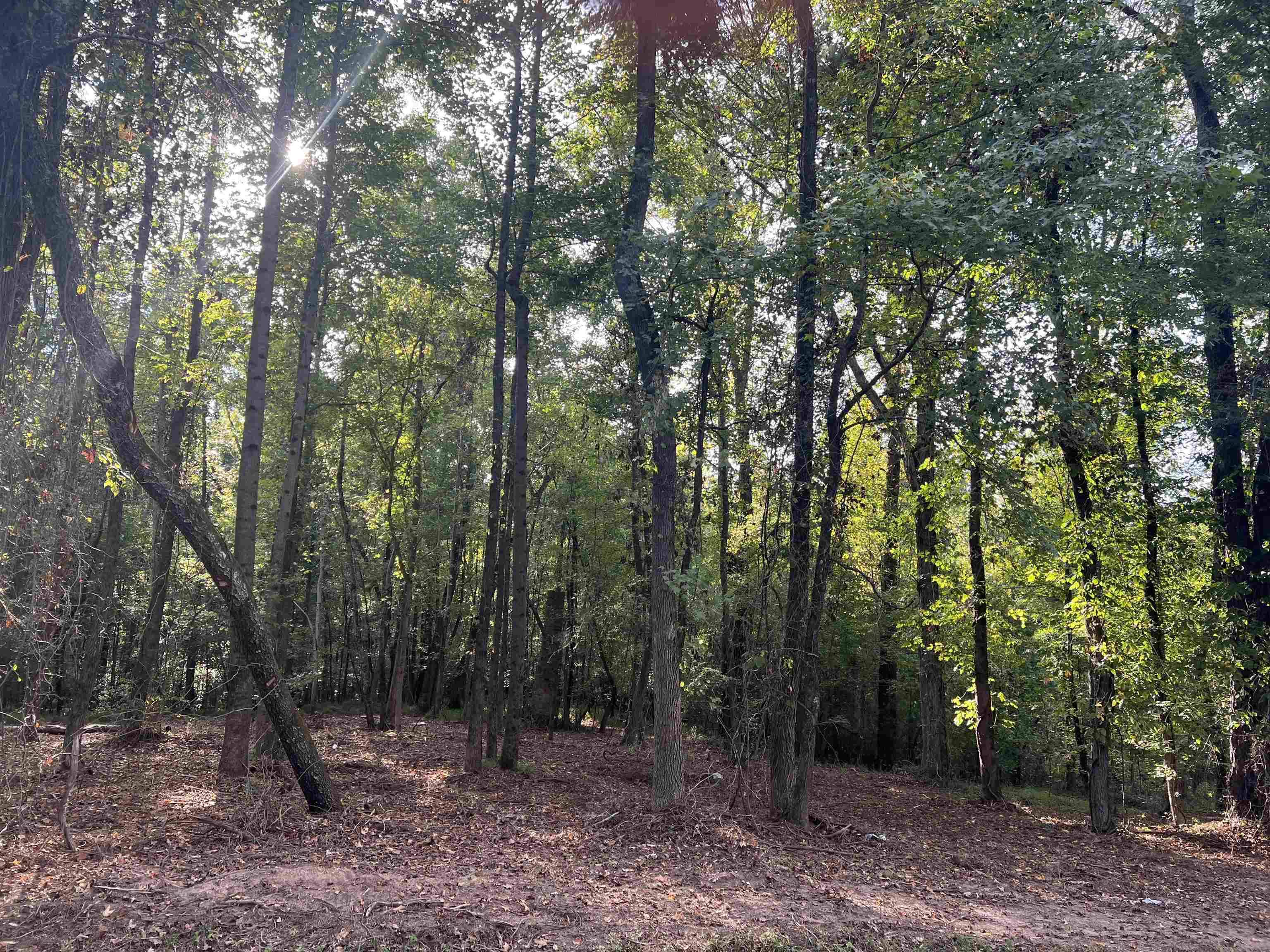 Loganville, GA 30052,LOT 11 Kent Rock RD