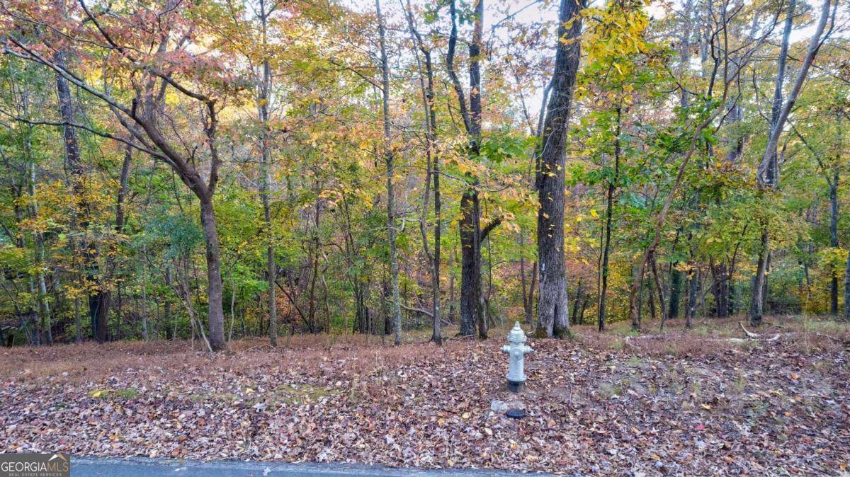 Ellijay, GA 30540,LOT 422 Zeblin RD #422