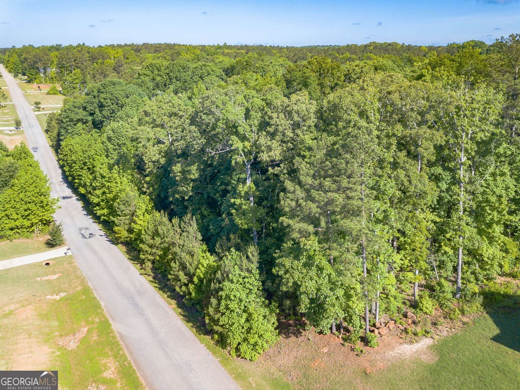 Luthersville, GA 30251,629 Hunter Welch Pkwy #LOT 133