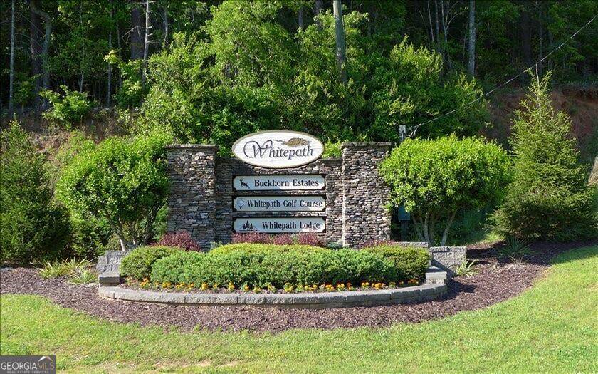 Ellijay, GA 30540,LOT 164 Shenendoa DR